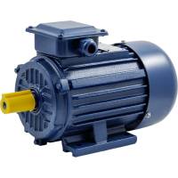 Электродвигатель ТМ БЭЗ АИР 100L6 IM1081 2,2 кВт, 1000 об/мин 85169