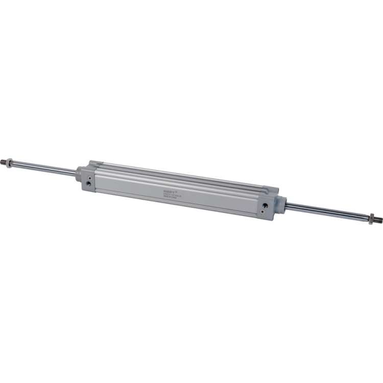 Пневмоцилиндр NBPT DNCD 32x250-S 80695