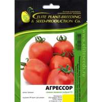 Агрессор F1 семена томата 500 шт ЭС мини ELITE PLANT-BREEDING & SEED PRODUCTION Co. 1071860345